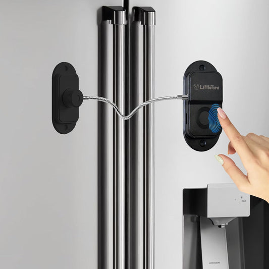 Fingerprint Fridge Lock